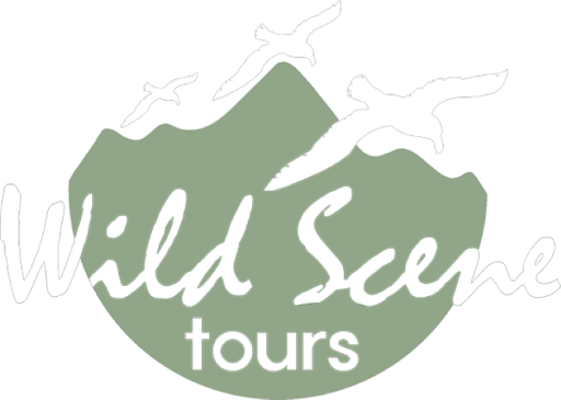 Wild Scene Tours Dunedin